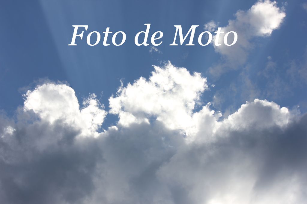 インパチェンス・バルサミナ:世話、水やり、生殖